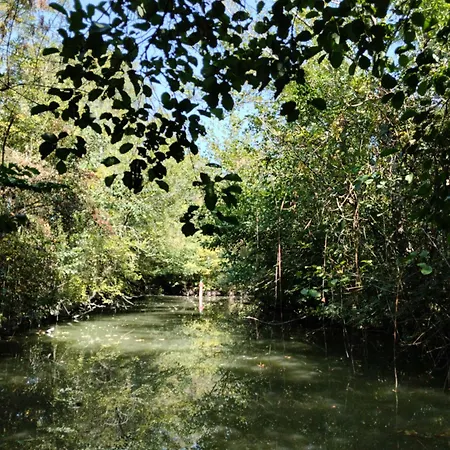 Le Petit Nid Du Marais Hébergement de vacances