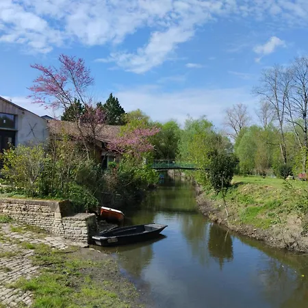 Le Petit Nid Du Marais Le Vanneau-Irleau