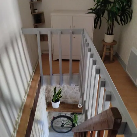 Le Petit Nid Du Marais Hébergement de vacances