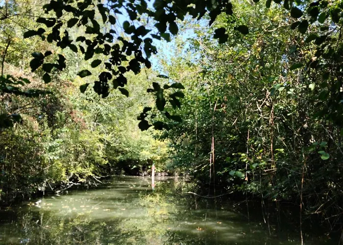 Le Petit Nid Du Marais Semesterbostad