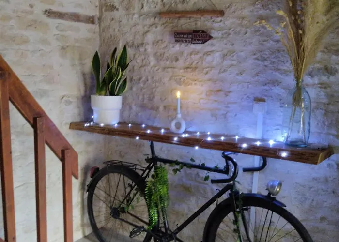 Le Petit Nid Du Marais Le Vanneau-Irleau