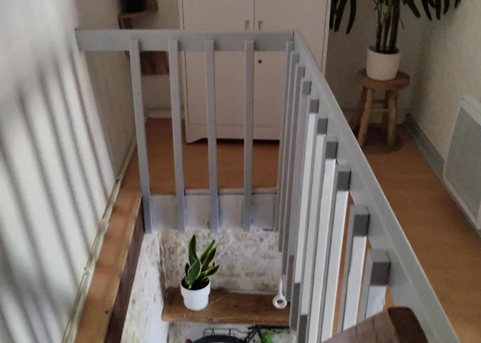 Le Petit Nid Du Marais Semesterbostad